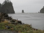 LaPush, Washington -on the Pacific Ocean