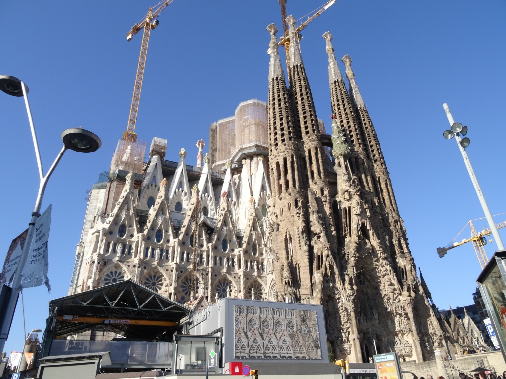 14 sagrada familia